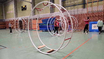 Rhönradturnen